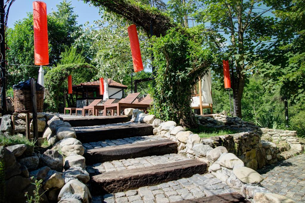 Pensiune-Restaurant Tara Luanei 사라타몬테루 외부 사진